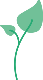 Rdoc nachheiltigkeits icon